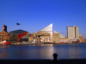 Baltimore's inner harbor