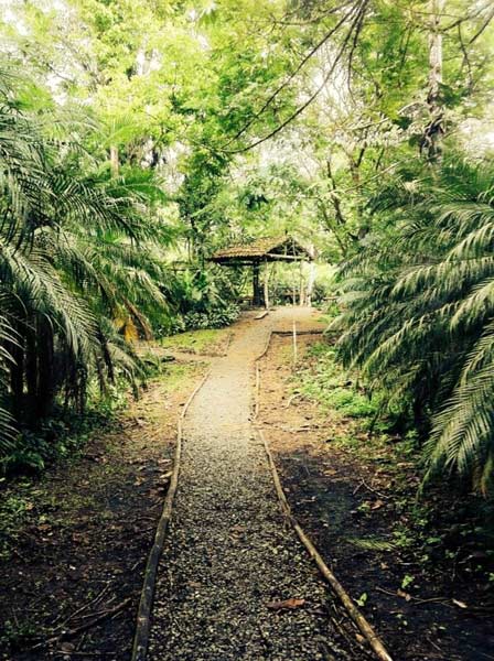 walking trail walking trail