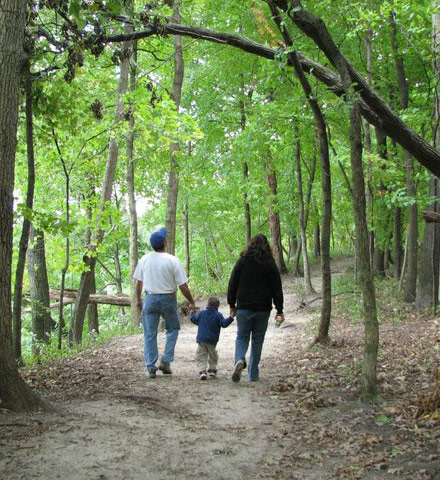 a walk in the woods a walk in the woods