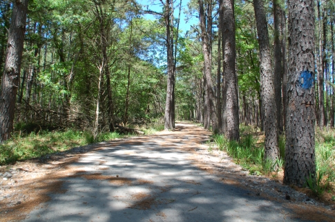 Paved Trail