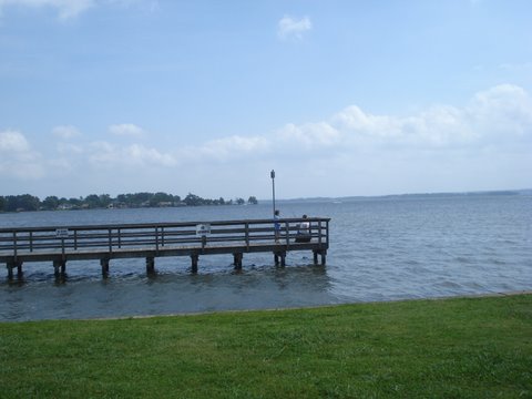 view