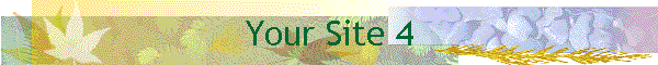 Your Site 4