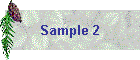 Sample 2