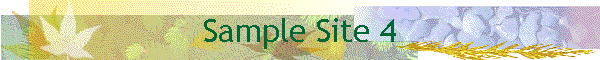 Sample Site 4