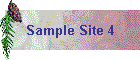 Sample Site 4