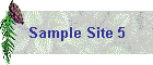Sample Site 5