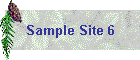 Sample Site 6